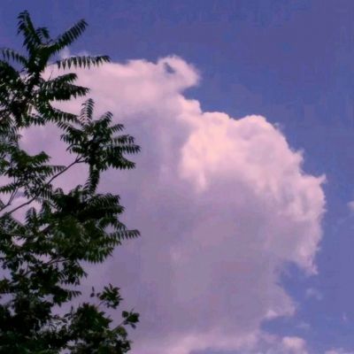 雷泽体育官方入口